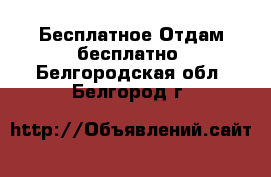 Бесплатное Отдам бесплатно. Белгородская обл.,Белгород г.